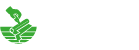 Flooring Repairs